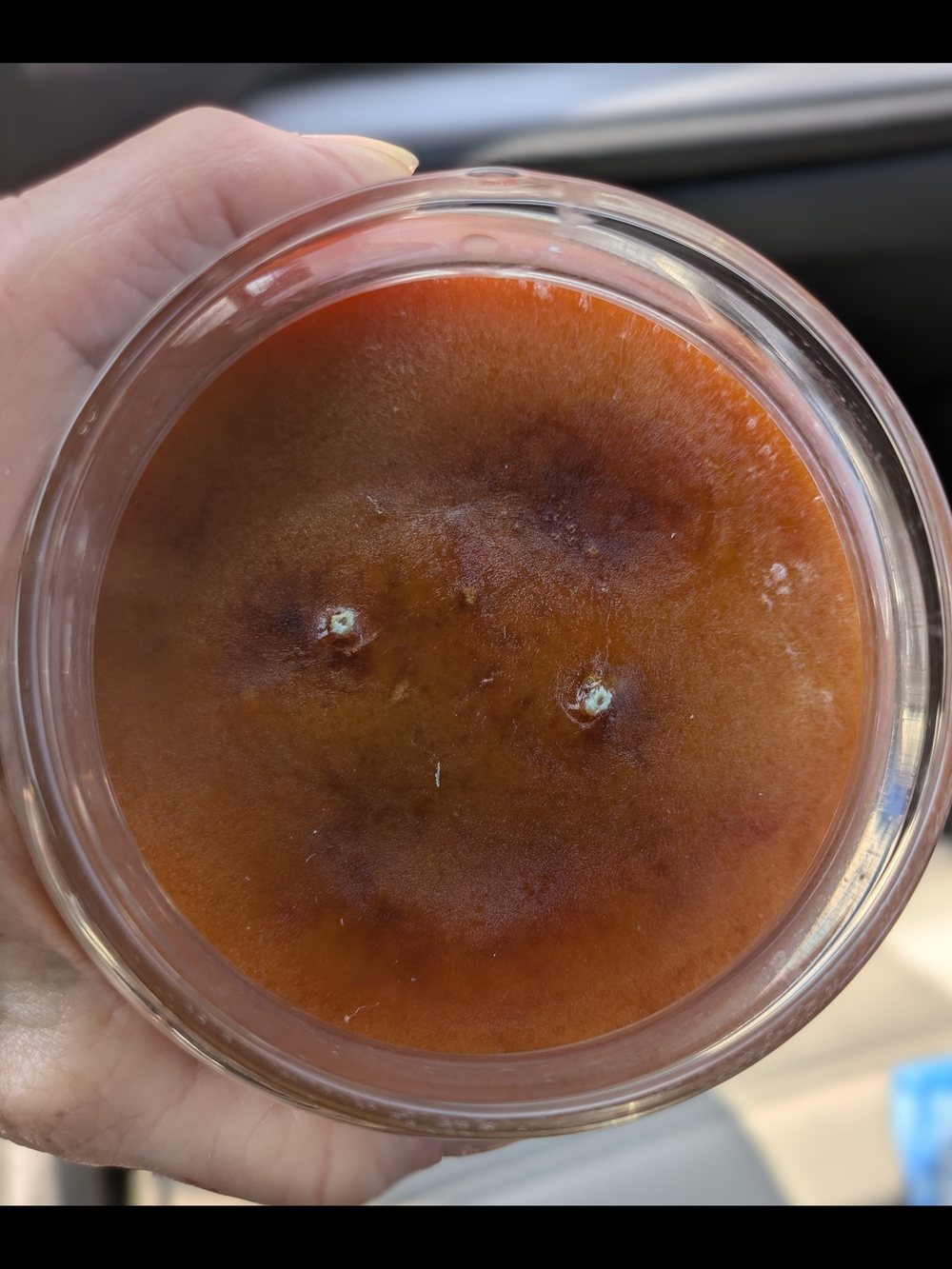 HTF Seasonal Pumpkin Donut Scent Village Candle - Picture 3 of 4